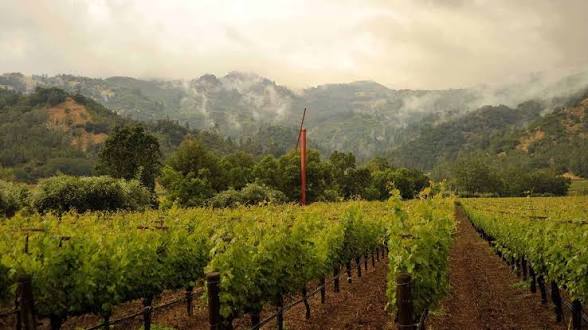Eisele Vineyard (Araujo) | Napa Valley Cabernet Sauvignon
