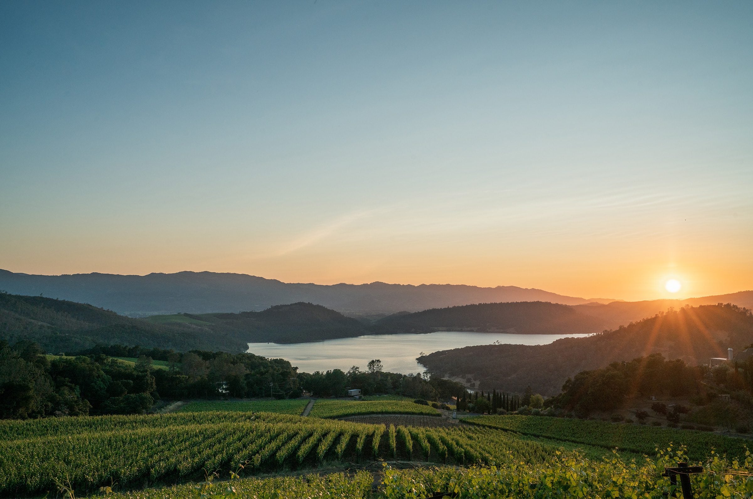 Bryant Estate (Bryant Family Vineyard)