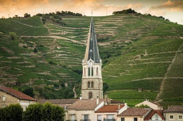 northern rhone hermitage hill vineyard