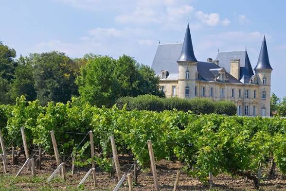 Bordeaux France wine vineyard